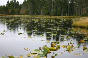 mayer_lake_provincial_park 002